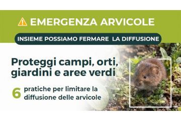 Emergenza Arvicole - Trasmissione Linee Guida